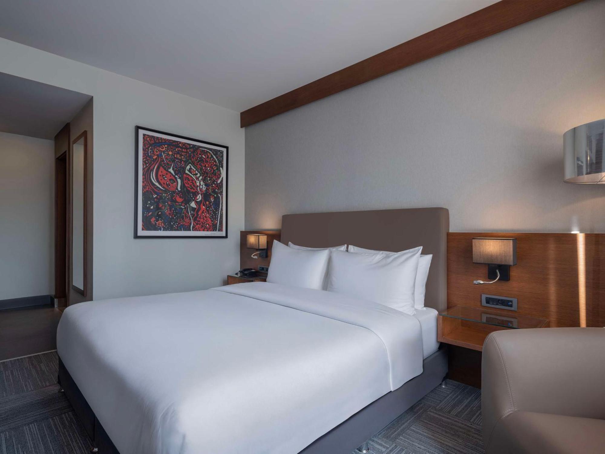 Otel Radisson Blu Cankaya Ankara